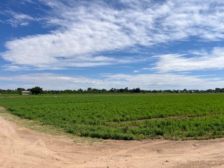 0 Bedroom Property for Sale in Middelpos Northern Cape